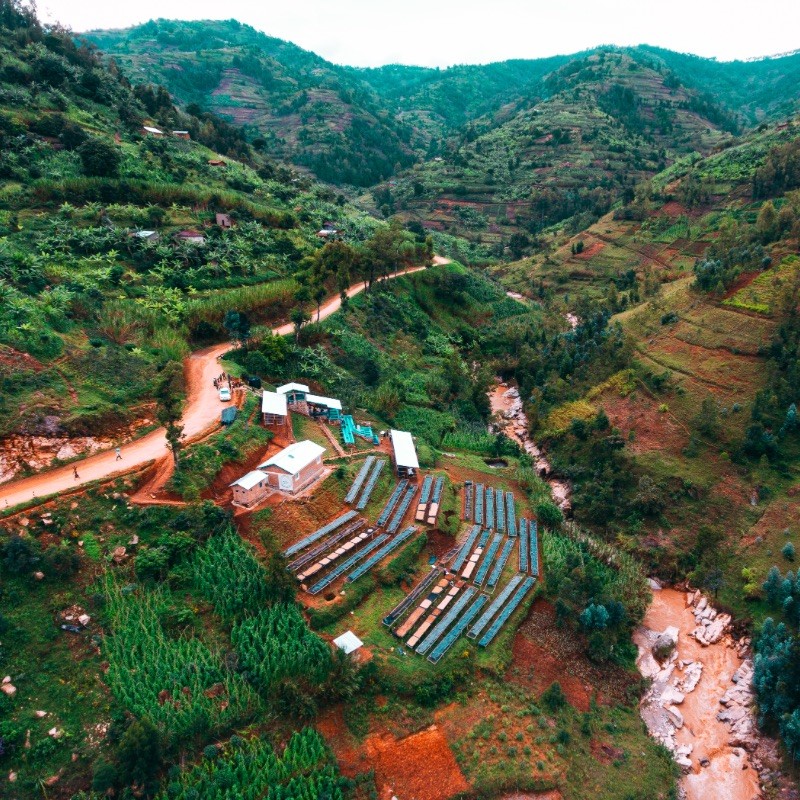 盧安達 亞畢胡 席拉處理廠 慢速日曬